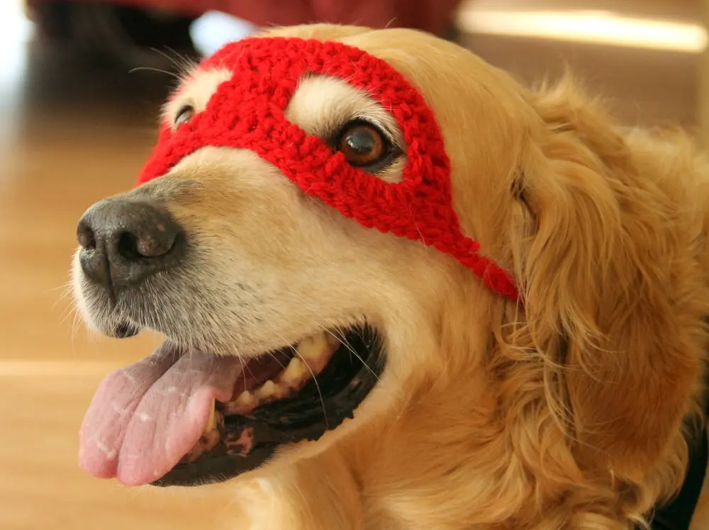 Crochet Superhero Dog Mask