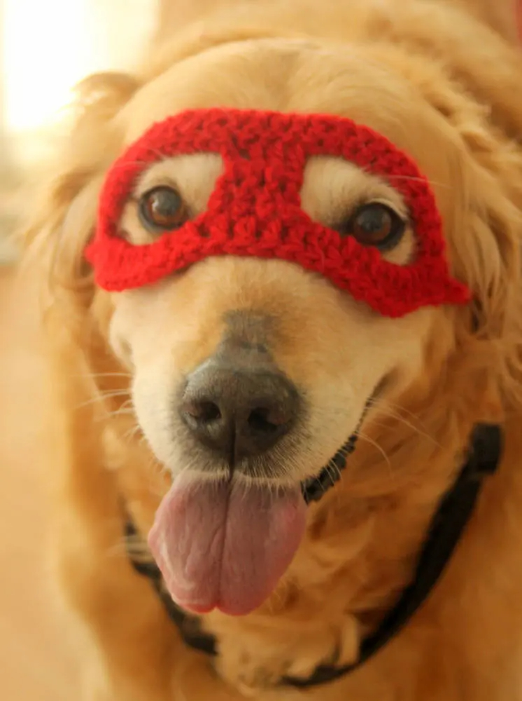 Crochet Superhero Dog Mask - Image 2
