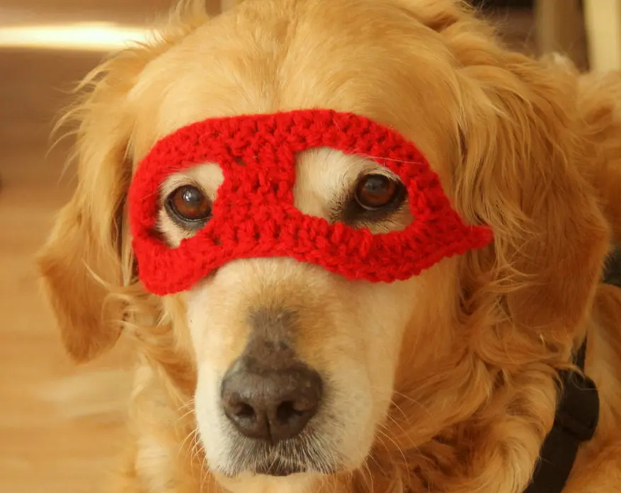 Crochet Superhero Dog Mask - Image 3