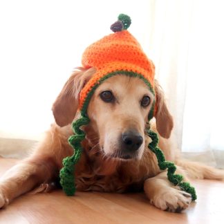Pumpkin Crochet Dog Hat