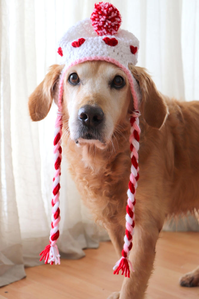 Sweetheart Pom-Pom Earflap Crochet Dog Hat - Image 3