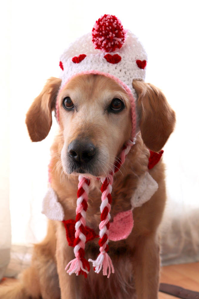 Sweetheart Pom-Pom Earflap Crochet Dog Hat - Image 2