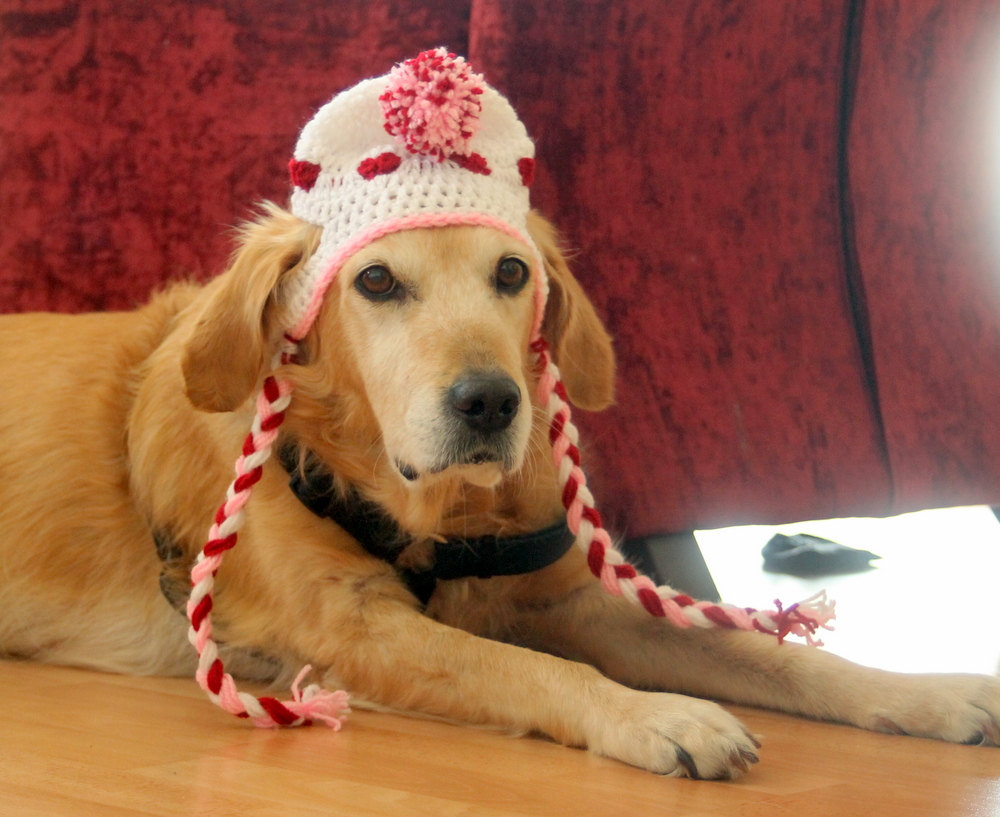Sweetheart Pom-Pom Earflap Crochet Dog Hat