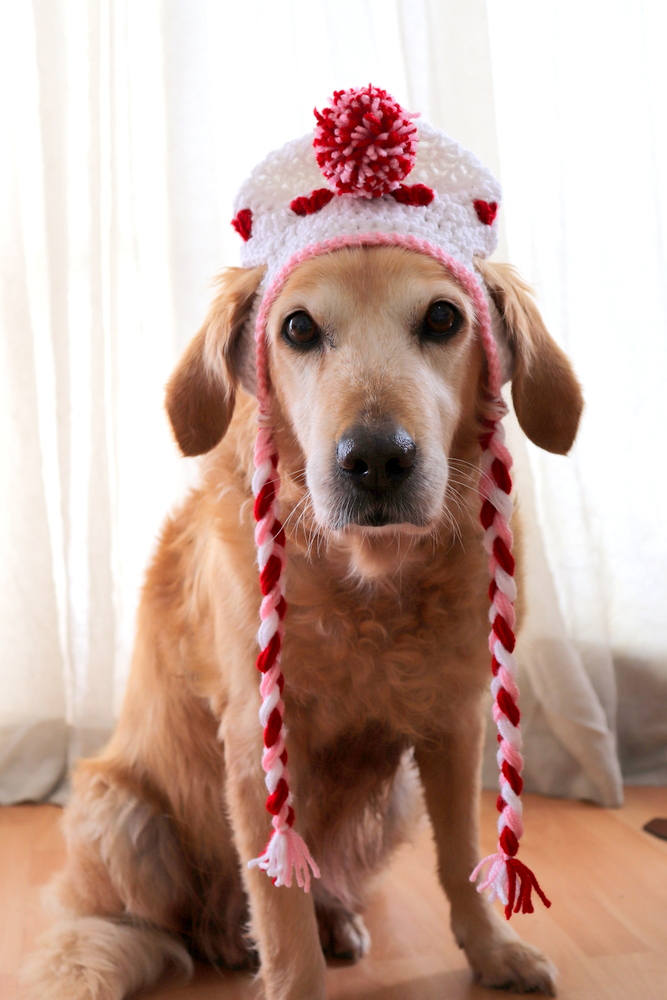 Sweetheart Pom-Pom Earflap Crochet Dog Hat - Image 4