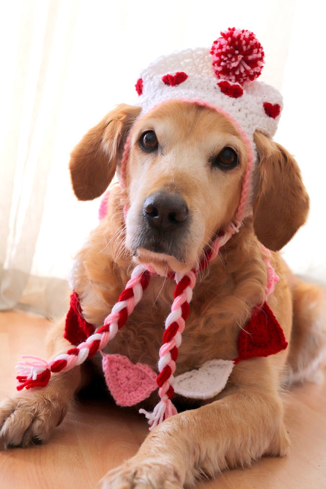 Sweetheart Pom-Pom Earflap Crochet Dog Hat - Image 5