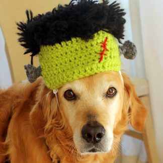 Frankenstein Crochet Dog Hat