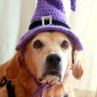 Purple Crochet Witch Hat for Dogs