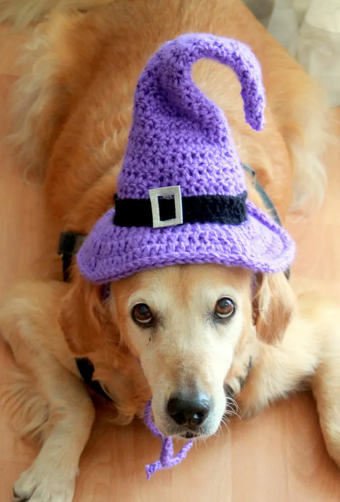 Purple Crochet Witch Hat for Dogs - Image 3