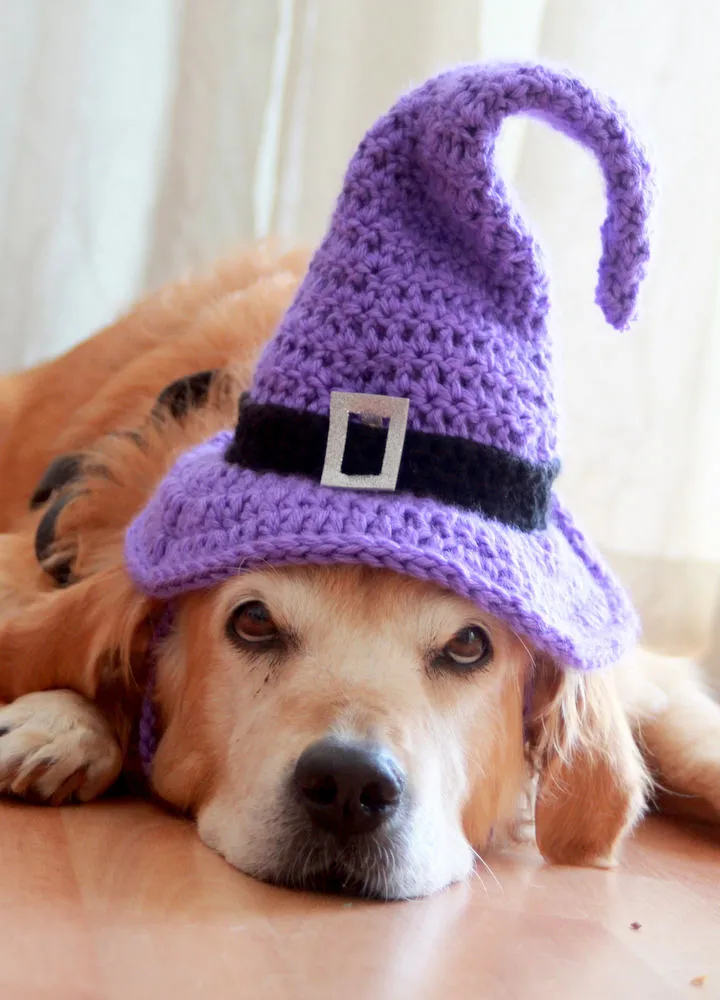 Purple Crochet Witch Hat for Dogs - Image 4