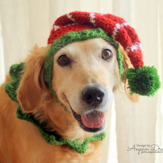 Holiday Elf Crochet Dog Hat