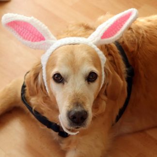 Bunny Ears Crochet Dog Hat