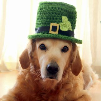 Patrick's Day shamrock pattern dog hat